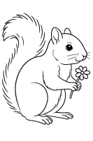 Eichhörnchen mit Waldblume