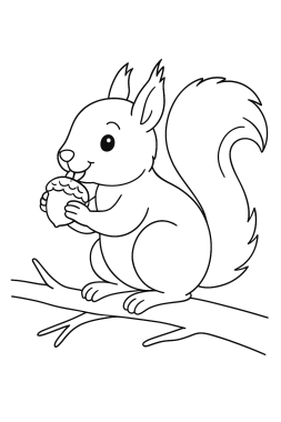 Mein erstes realistisches Eichhörnchen Ausmalbild