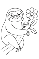 Faultier umarmt Ast mit Blüte