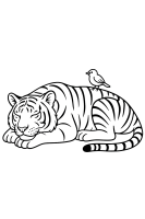 Schlafender Tiger Vogel