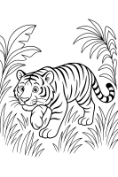 Pirschender Tiger Gras