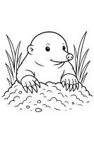 Maulwurf lugt hervor